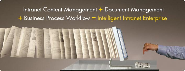 Intranet, document management and workflow software.