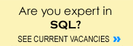 SQL developer jobs MS-SQL transact SQL P/L SQL